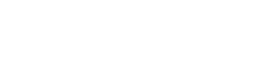 The Nation Network