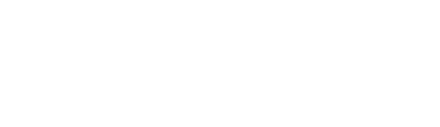 The Nation Network